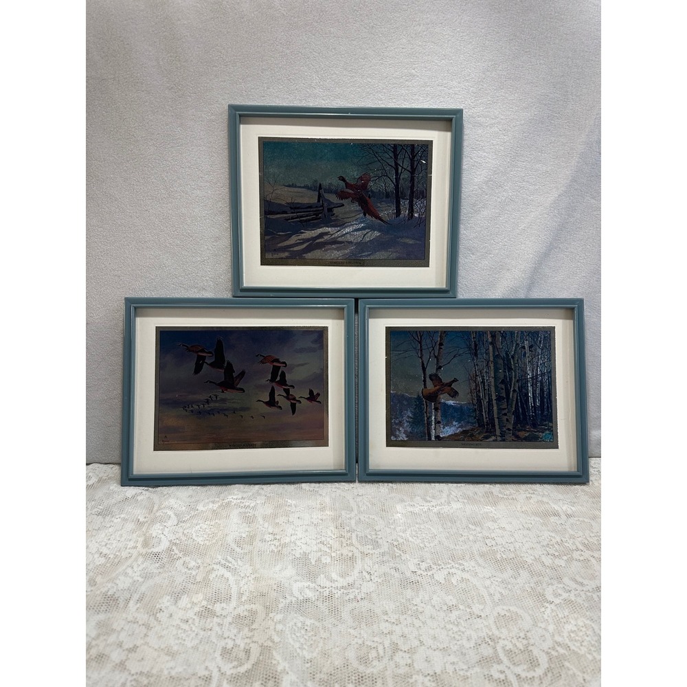 Framed Bird Foil  Art Print Set‎ of 3 Vintage Wildlife Nature Decor- NO GLASS